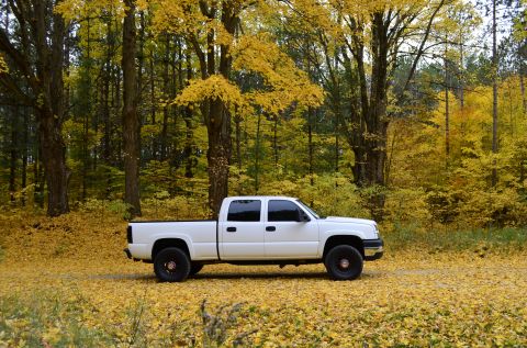 2006 Chevrolet Silverado 2500 - White 2006 Chevrolet Silverado 2500 pickup truck in a forest during autumn.