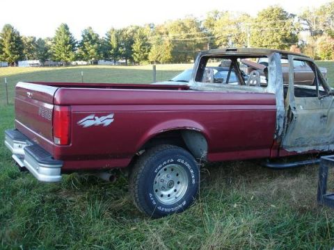 1995 Ford F-150 photo