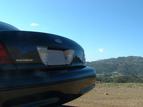 1998 Ford Crown Victoria - Rear of a dark green Ford sedan showing a Police Interceptor trunk badge at a coastal hilltop.