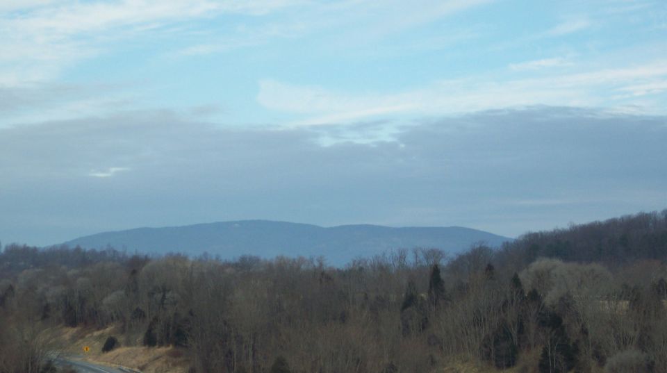 Road curving through a wooded landscape with distant blue mountains under a cloudy sky