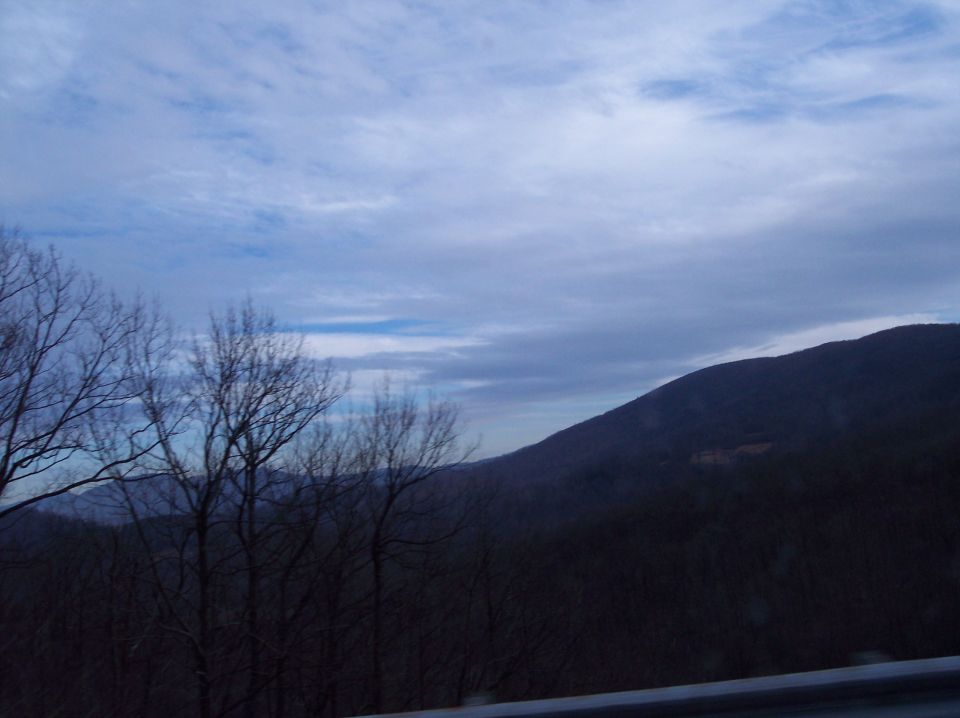 Overcast sky above dark, tree-covered mountains and bare branches