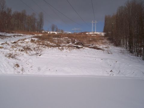 1990 Ford Bronco - A winter scene with power lines stretching across a snowy, wooded hillside.