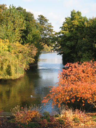 1996 Ford Crown Victoria - A tranquil river scene framed by trees in vibrant autumn colors, with a Supermotors logo visible at the bottom.