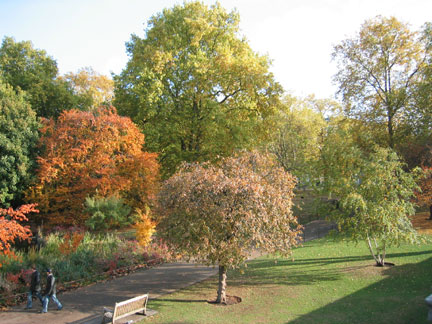 1996 Ford Crown Victoria - Autumn foliage in a park with a paved path and two pedestrians.