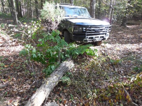 1983 Ford Bronco - This dead tree was near a trail I was blazing, so I pushed it over. It (or one of the others I knocked down today) got into the tie rods &…