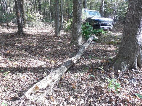 1983 Ford Bronco - This dead tree was near a trail I was blazing, so I pushed it over. It (or one of the others I knocked down today) got into the tie rods &…
