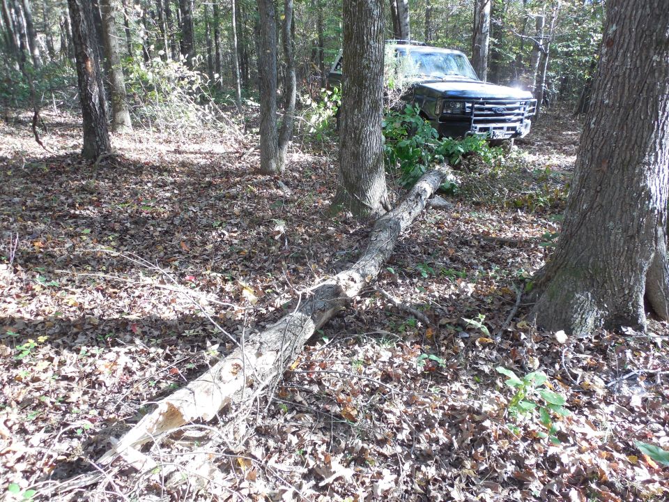 Ford F-Series truck parked in a wooded area with a fallen tree in the foreground