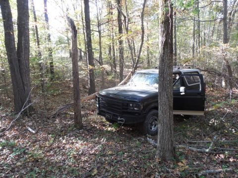 1983 Ford Bronco - This dead tree took a few good hits to get all the way to the ground. It (or one of the others I knocked down today) got into the tie rods…