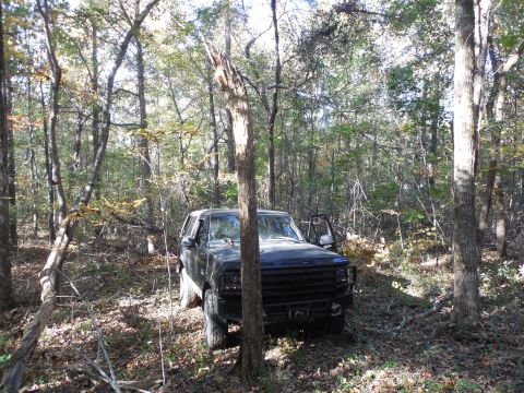 1983 Ford Bronco - This dead tree took a few good hits to get all the way to the ground. It (or one of the others I knocked down today) got into the tie rods…