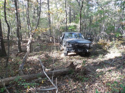 1983 Ford Bronco - This dead tree took a few good hits to get all the way to the ground. It (or one of the others I knocked down today) got into the tie rods…