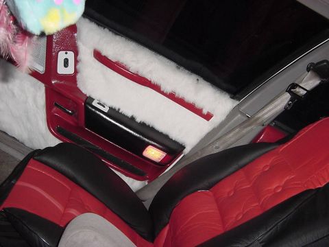 1991 Ford Taurus - Tha shaggy inside!!!