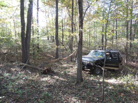 1983 Ford Bronco - This dead tree took a few good hits to get all the way to the ground. It (or one of the others I knocked down today) got into the tie rods…