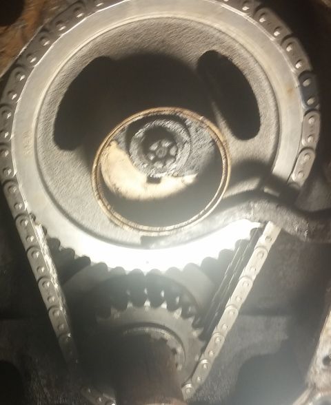 1979 Ford Bronco - Close-up view of an engine's timing chain and gears, likely during maintenance or repair.