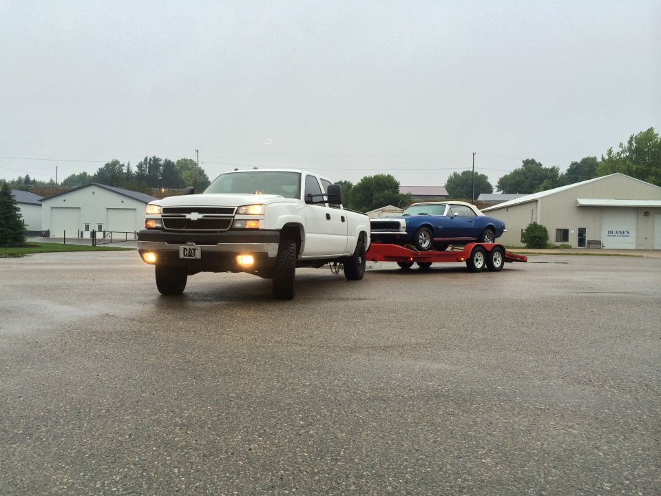 White Chevrolet pickup truck with CAT license plate towing a blue classic car on a red trailer