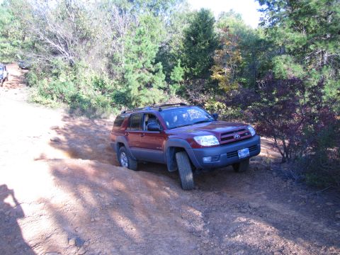 1995 Ford Bronco - A red Toyota 4Runner navigates a challenging off-road trail with trees and foliage surrounding the path.