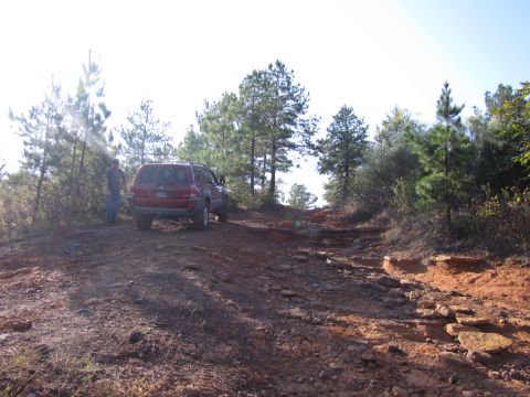 1995 Ford Bronco - A red SUV navigates a challenging off-road trail with rocky terrain and dense trees.