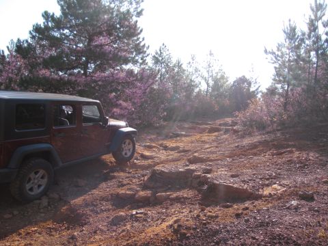 1995 Ford Bronco - A Jeep Wrangler navigates a rough, off-road path through a wooded area with purple flowering trees.