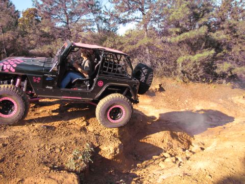 1995 Ford Bronco - A modified black Jeep Wrangler navigates a challenging off-road course with pink accents.