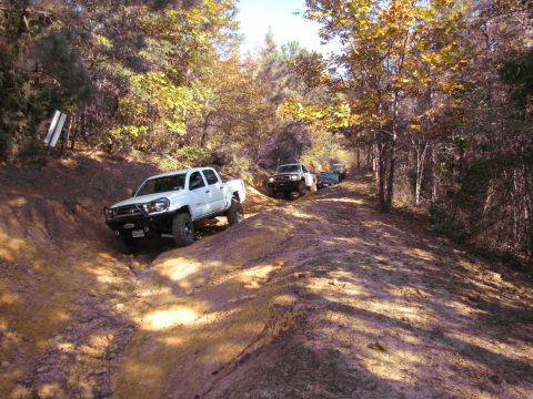 1995 Ford Bronco - Multiple pickup trucks traverse a challenging off-road trail through a wooded area during autumn.