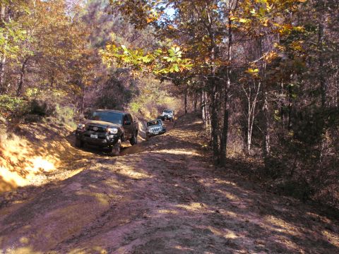 1995 Ford Bronco - Off-road adventure on a wooded trail with multiple vehicles navigating the terrain.