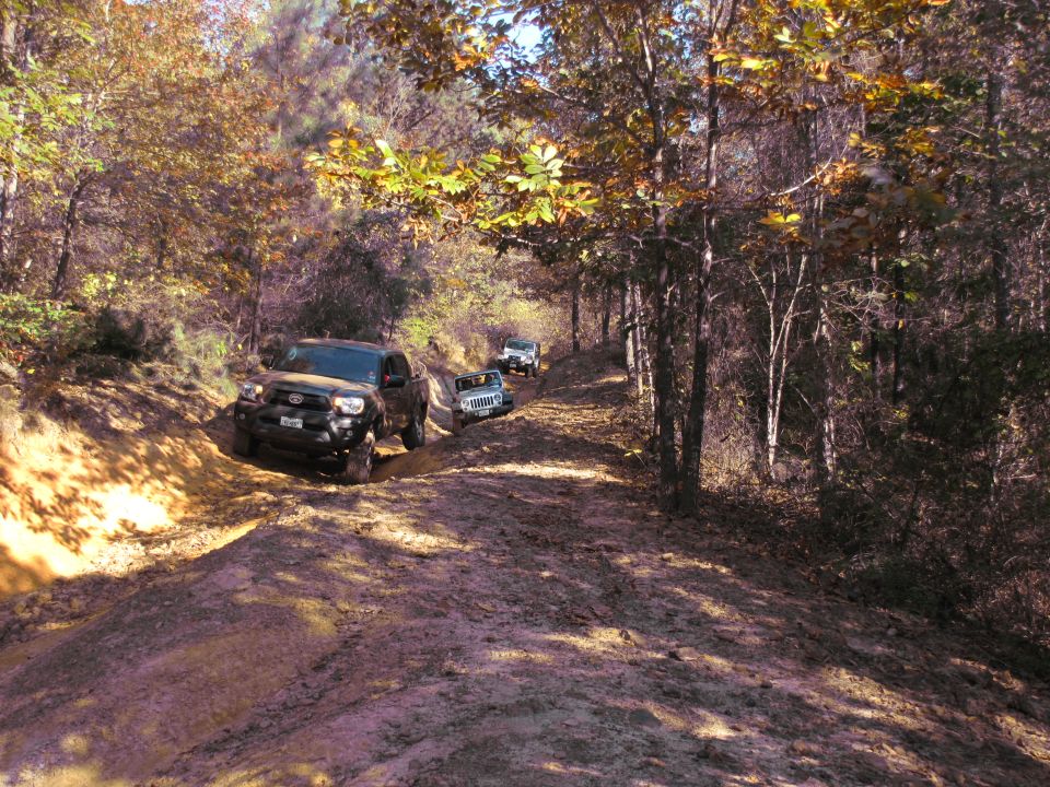 Several trucks driving on a muddy dirt road through a forest with autumn leaves