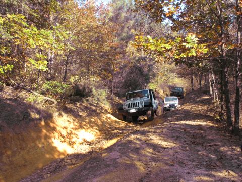 1995 Ford Bronco - Multiple Jeeps navigate a challenging muddy trail during an off-road excursion.