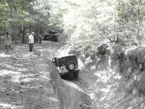 1995 Ford Bronco - Multiple Jeeps tackling a challenging off-road course in a wooded area.
