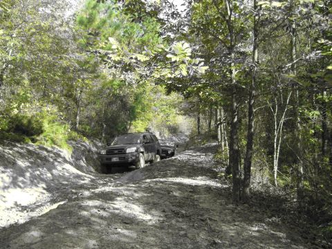 1995 Ford Bronco - A black SUV tows a trailer down a muddy, wooded trail.
