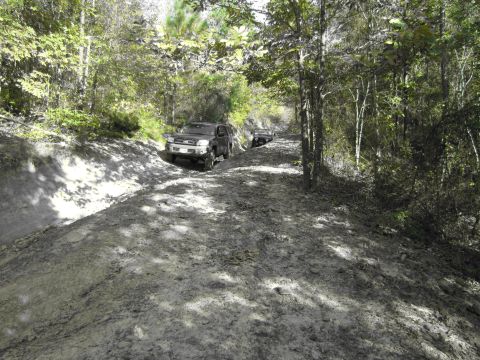 1995 Ford Bronco - Two SUVs navigate a challenging dirt path through a dense forest, kicking up dust and mud.