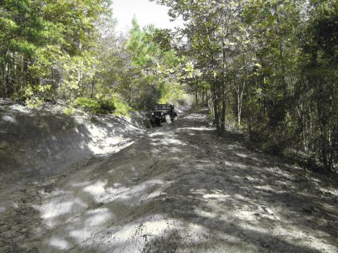 1995 Ford Bronco - A black off-road vehicle navigates a challenging muddy path surrounded by dense forest foliage.