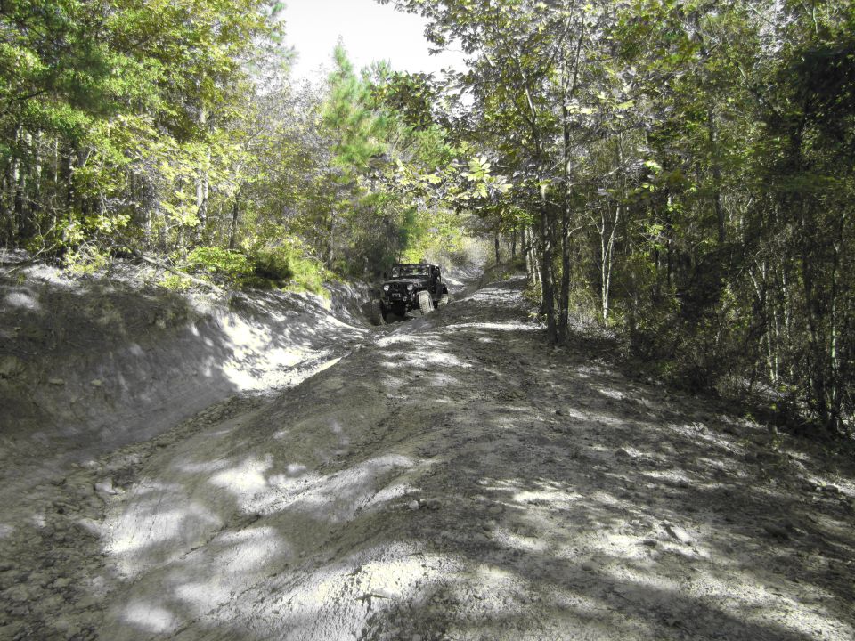 Black off-road vehicle driving on a muddy trail through trees
