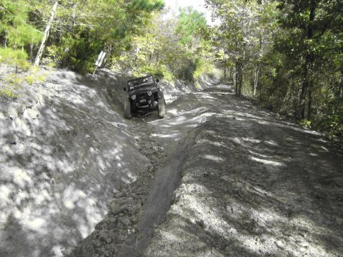 1995 Ford Bronco - A Jeep navigates a challenging off-road trail through a wooded area.