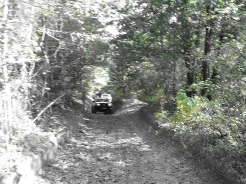 1995 Ford Bronco - Two SUVs navigate a muddy, tree-lined dirt road.