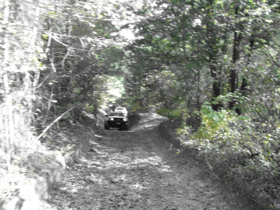 Two SUVs on a forest dirt road