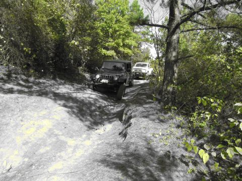 1995 Ford Bronco - Two off-road vehicles navigate a narrow dirt path through a forest.