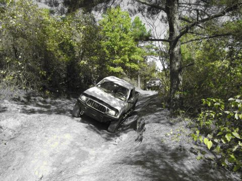 1995 Ford Bronco - Two pickup trucks drive on a wooded trail, one in the foreground and another further back.