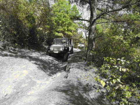 1995 Ford Bronco - Two off-road vehicles navigate a narrow, dirt path surrounded by dense trees and foliage.