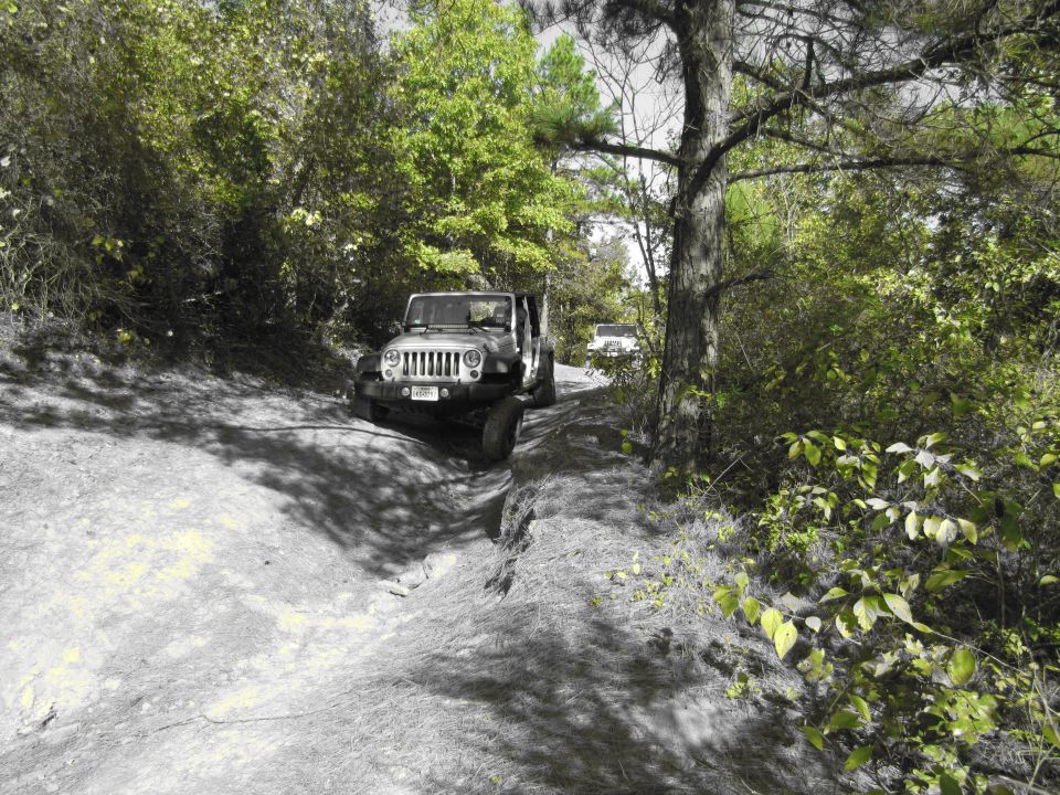 Silver Jeep Wrangler driving on a rocky, wooded trail, with another white SUV in the background