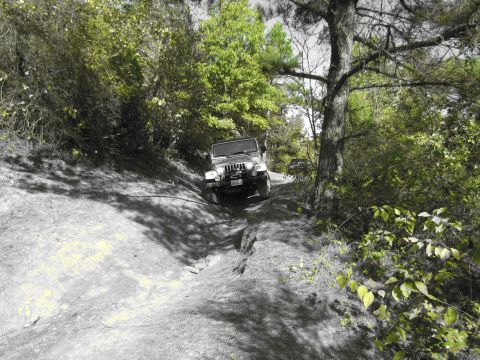 1995 Ford Bronco - Jeep Wrangler navigating a challenging off-road trail with dense foliage on either side.