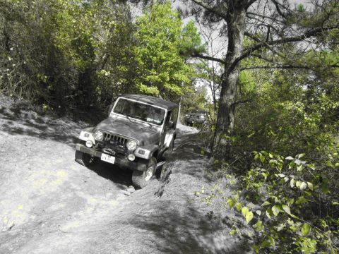 1995 Ford Bronco - Two off-road vehicles navigate a wooded trail during daylight.