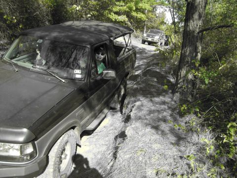 1995 Ford Bronco - A black 1995 Ford Bronco navigates a wooded dirt path, with a second SUV following closely behind.