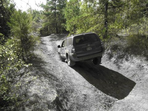 1995 Ford Bronco - A dark SUV navigates a rough dirt path through a wooded area.