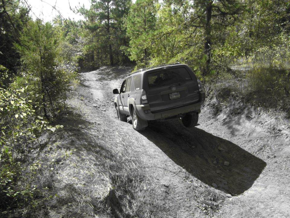 Dark SUV on a dirt road, rear view. Visible Toyota badge and license plate