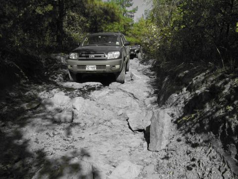 1995 Ford Bronco - Two vehicles navigate a challenging off-road path through a wooded area.