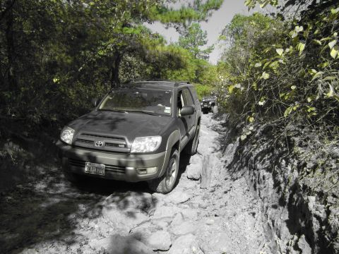 1995 Ford Bronco - Two SUVs navigate a challenging, rocky off-road path surrounded by dense foliage.