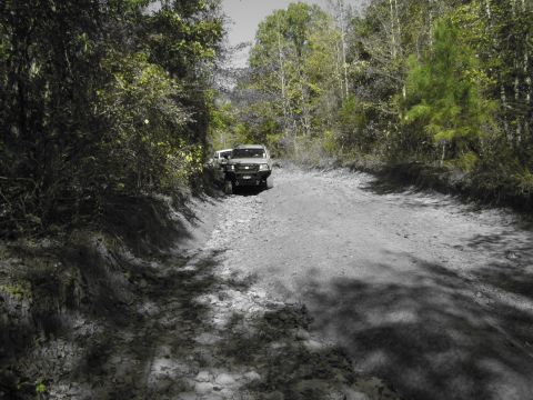 1995 Ford Bronco - Two SUVs navigate a rough, rocky path in a forest.