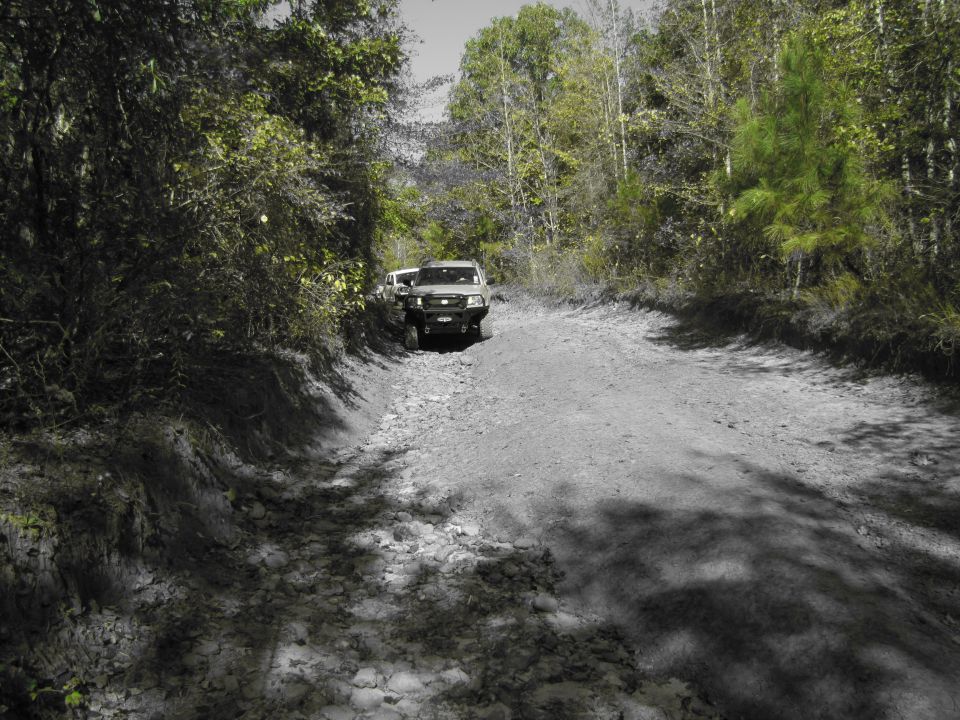 Two SUVs driving on a rocky dirt road through a wooded area