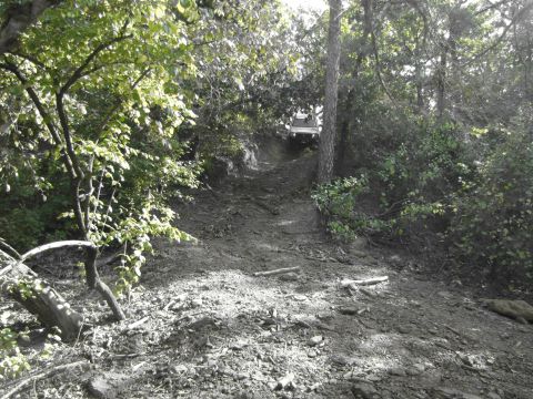 1995 Ford Bronco - A vehicle navigates a steep, wooded trail with loose dirt and debris.