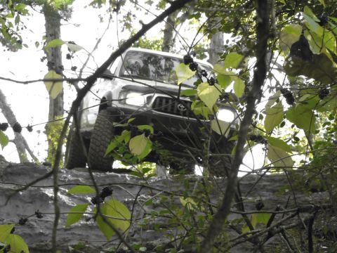 1995 Ford Bronco - A silver Toyota Tacoma navigates a rocky trail, partially obscured by tree branches and leaves.