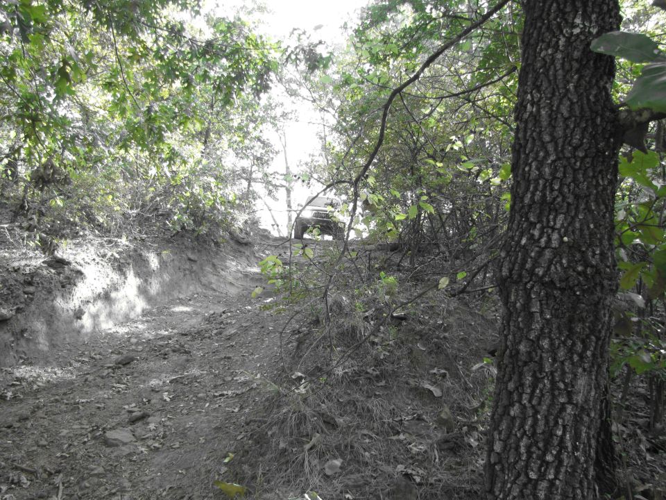 SUV climbing a steep dirt trail through trees